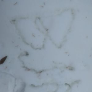 Meet your Posher, Bryan